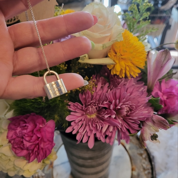 RARE! Tiffany AND CO LOCKET NECKLACE STATEMENT PIECE 💙 925 Sterling Silver - Picture 7 of 8